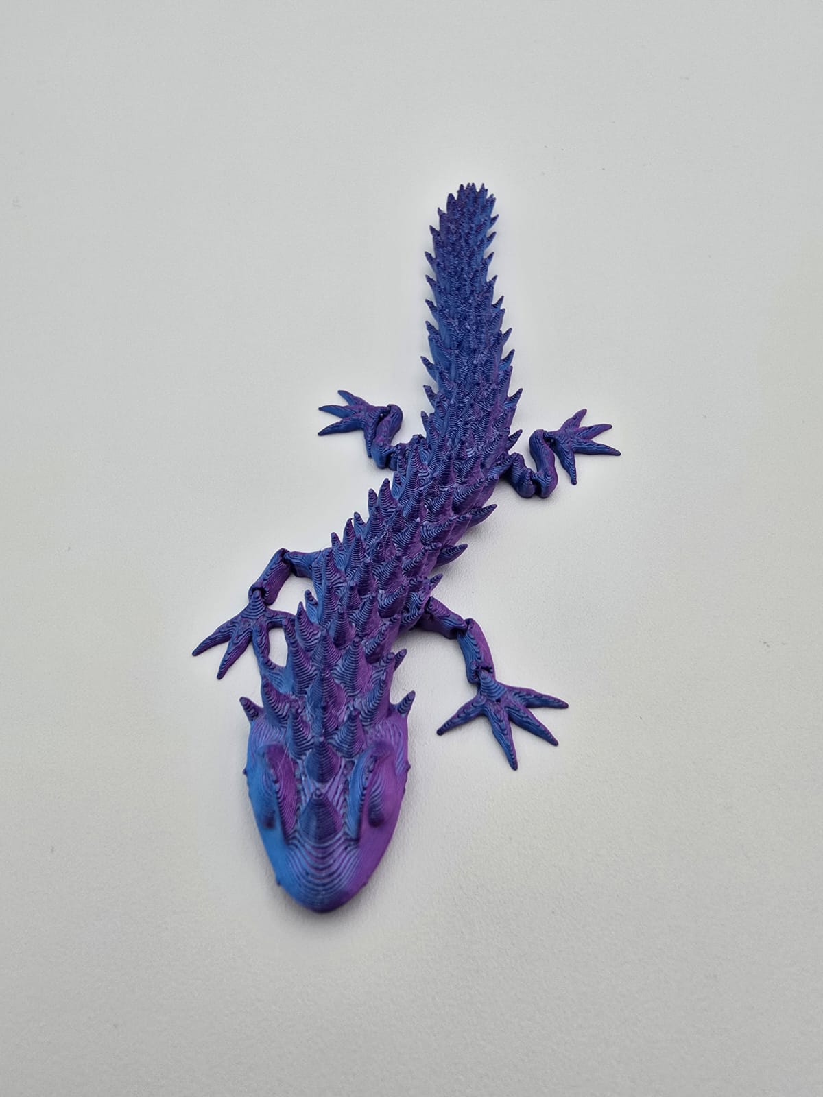Wriggly Lizard