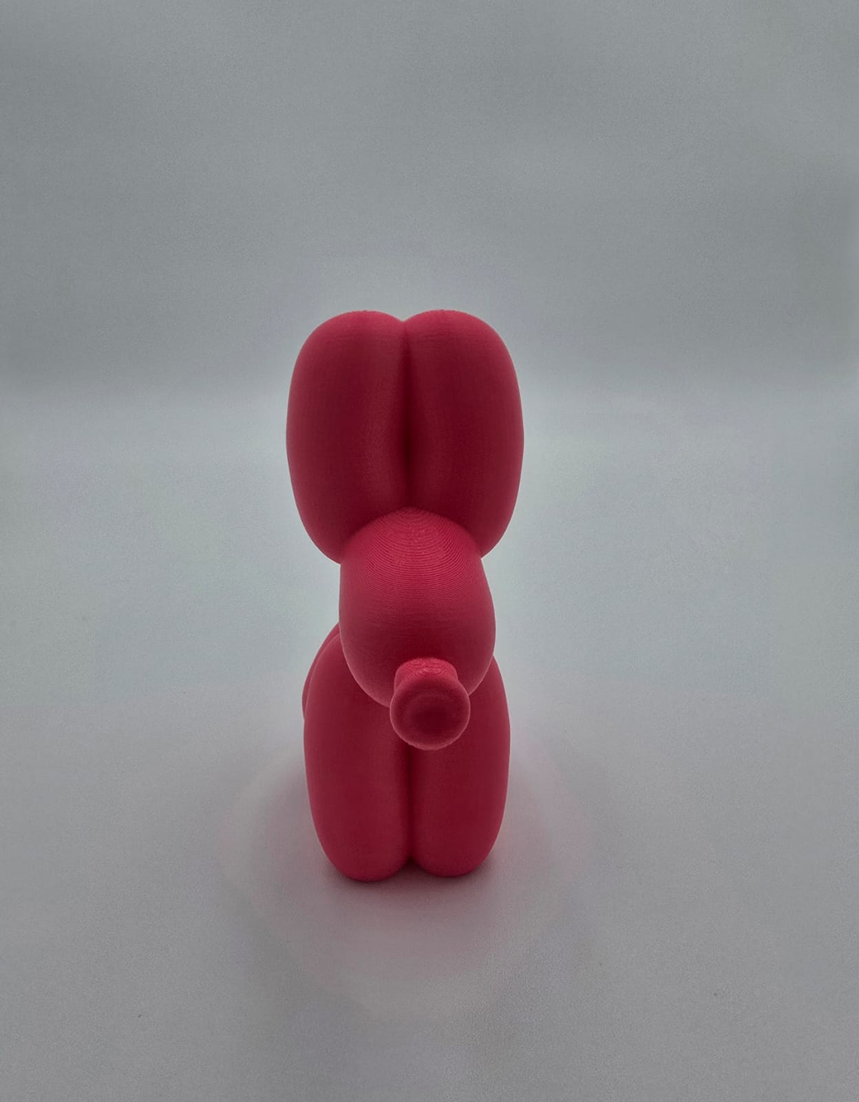 Balloon Pooping Dog
